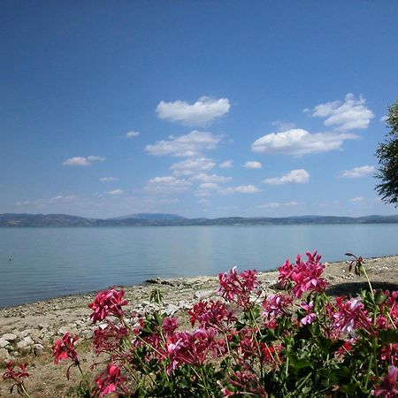 Hotel Aganoor Castiglione del Lago Bagian luar foto
