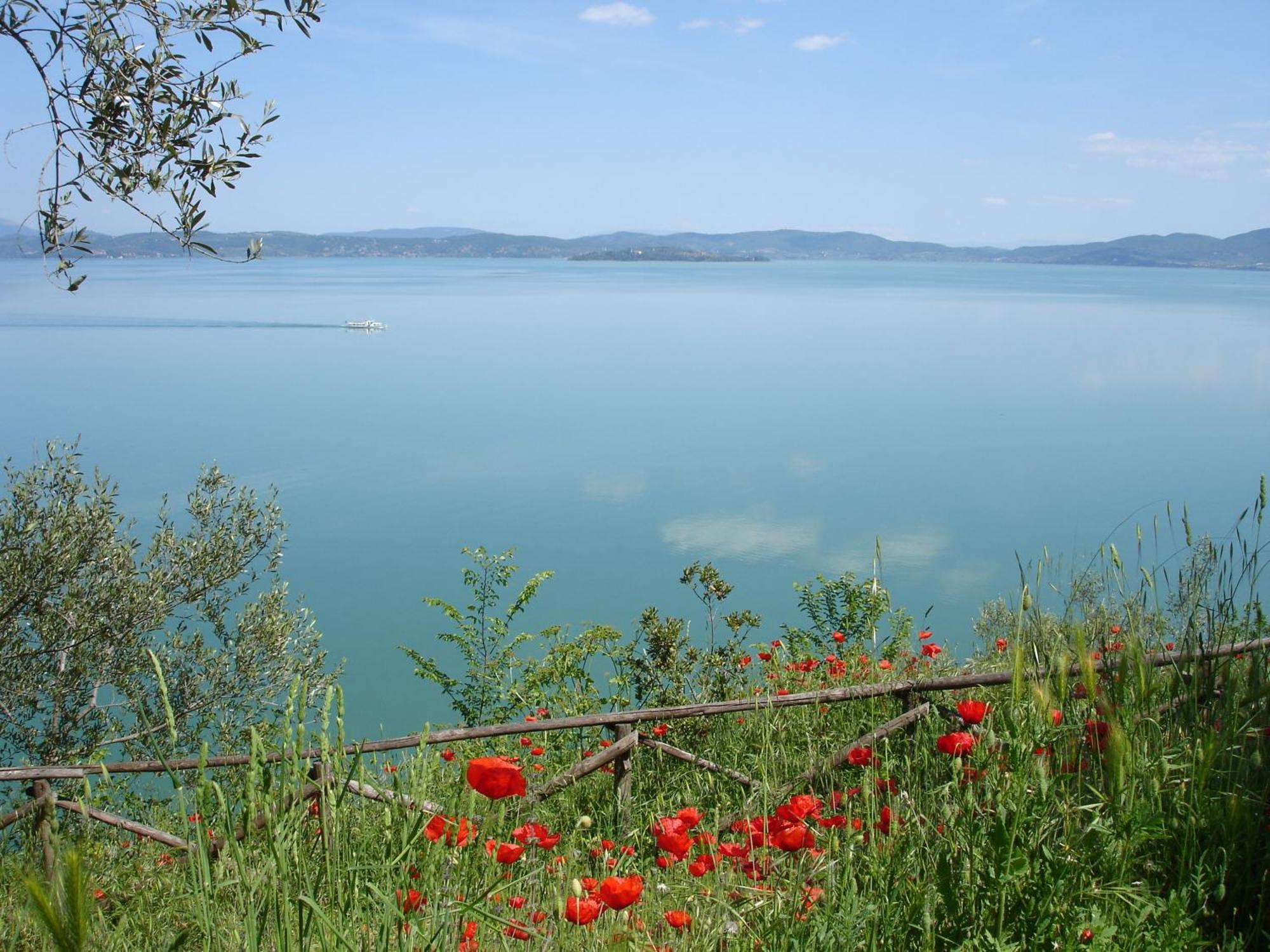 Hotel Aganoor Castiglione del Lago Bagian luar foto