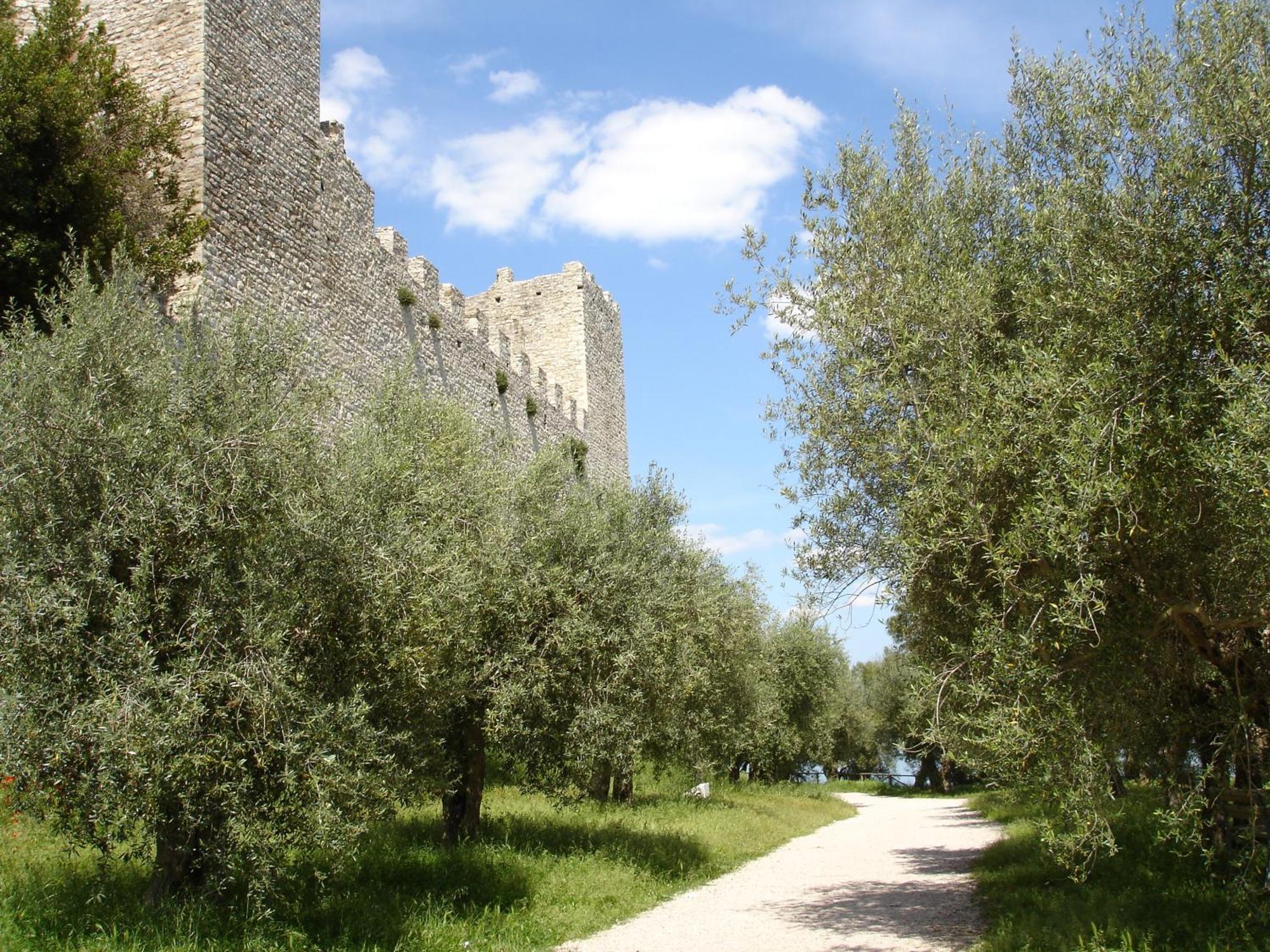 Hotel Aganoor Castiglione del Lago Bagian luar foto